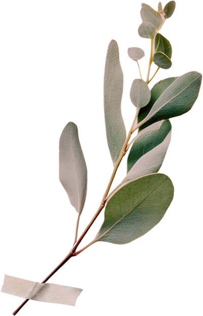 Esküvői táncoktatás - deko